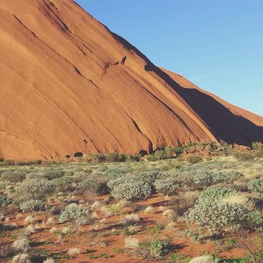 Elegant Plastic Bike